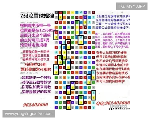 今晚极速飞艇最新走势解析与精准投注技巧全指南