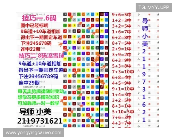 全面掌握澳洲幸运十玩法规律与精准计划稳定提升投注技巧核心思路