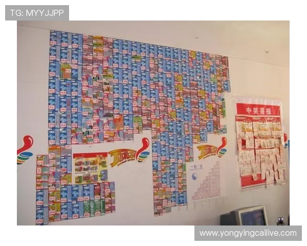 全国彩民实时关注的彩票结果查询平台与数据分析综合信息服务中心