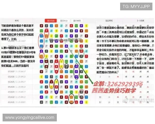 幸运飞艇最新开奖走势解析与投注技巧全攻略