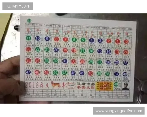 深入分析六合彩历史开奖数据揭示数字规律与投注趋势 深入分析六合彩历史开奖数据揭示数字规律与投注趋势